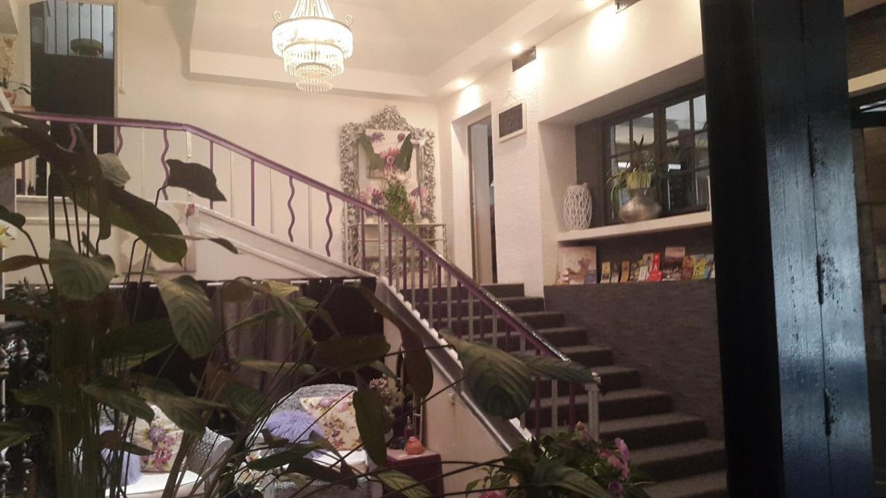 Logis L'Estelvin Chambres D'Hotes Каркасон Екстериор снимка